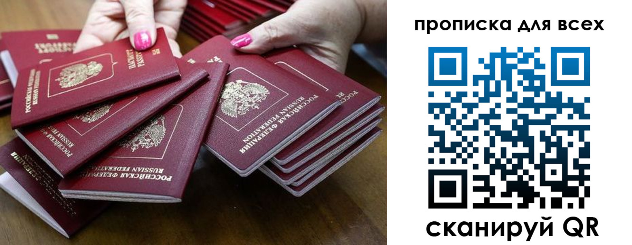 прописка гарантия в Нелидово
